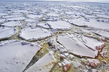 Los terremotos en aguas profundas