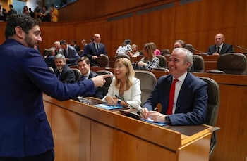 El diputado de VOX Alejandro