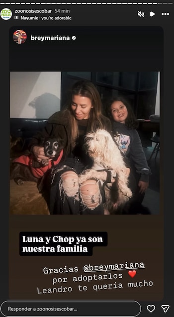 Mariana Brey y su hija Juana adoptaron a dos de los perros que Leandro Rud dejó tras su fallecimiento (Instagram)