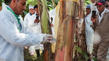 2025: Agricultura retuvo 16 mil