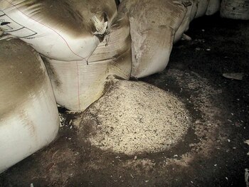 Foto de una bolsa rota