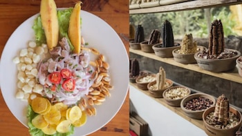 Ceviche de Piura y maíz del Cusco ingresan a programa mundial de UNESCO para proteger saberes alimentarios ancestrales