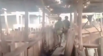 Las investigaciones iniciaron tras un operativo realizado por la fuerza pública. (Captura de video)