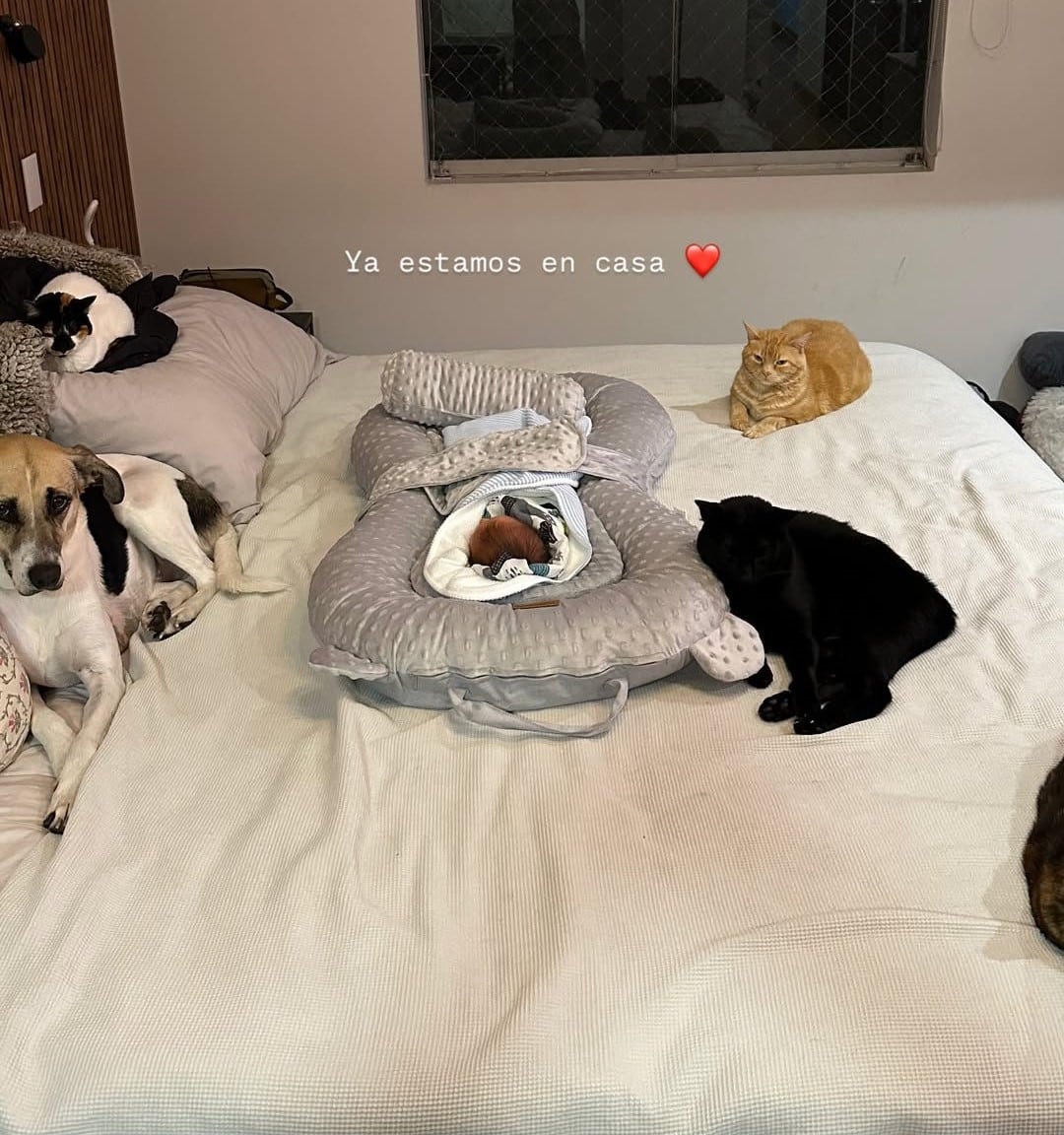 Anahí de Cárdenas compartió una foto de su bebé ya en casa, junto a sus mascotas.
