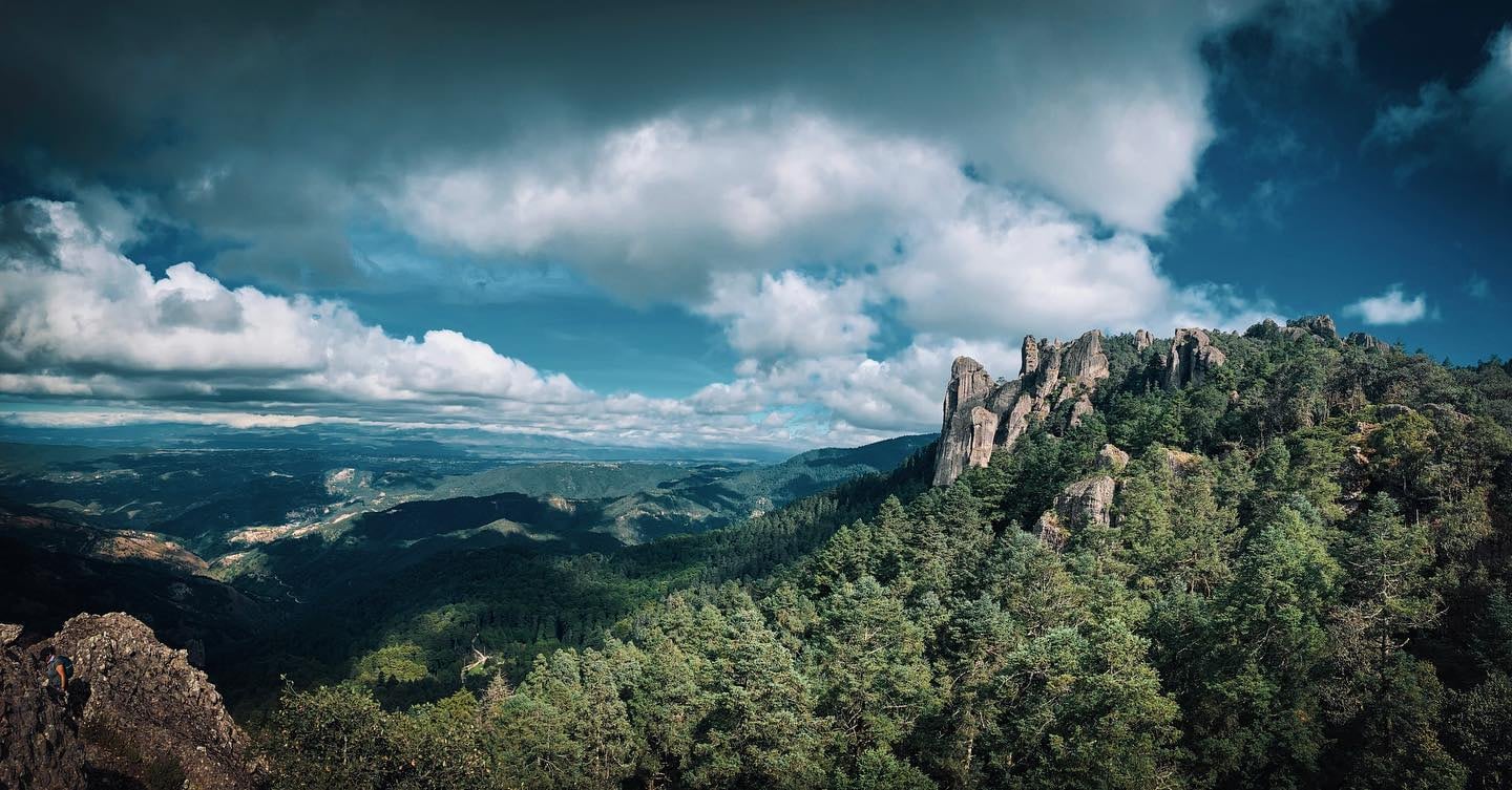 Foto: Instagram/@savabang