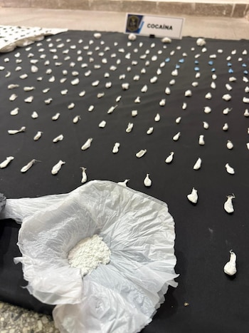 Operativo antidrogas en Mar del Plata