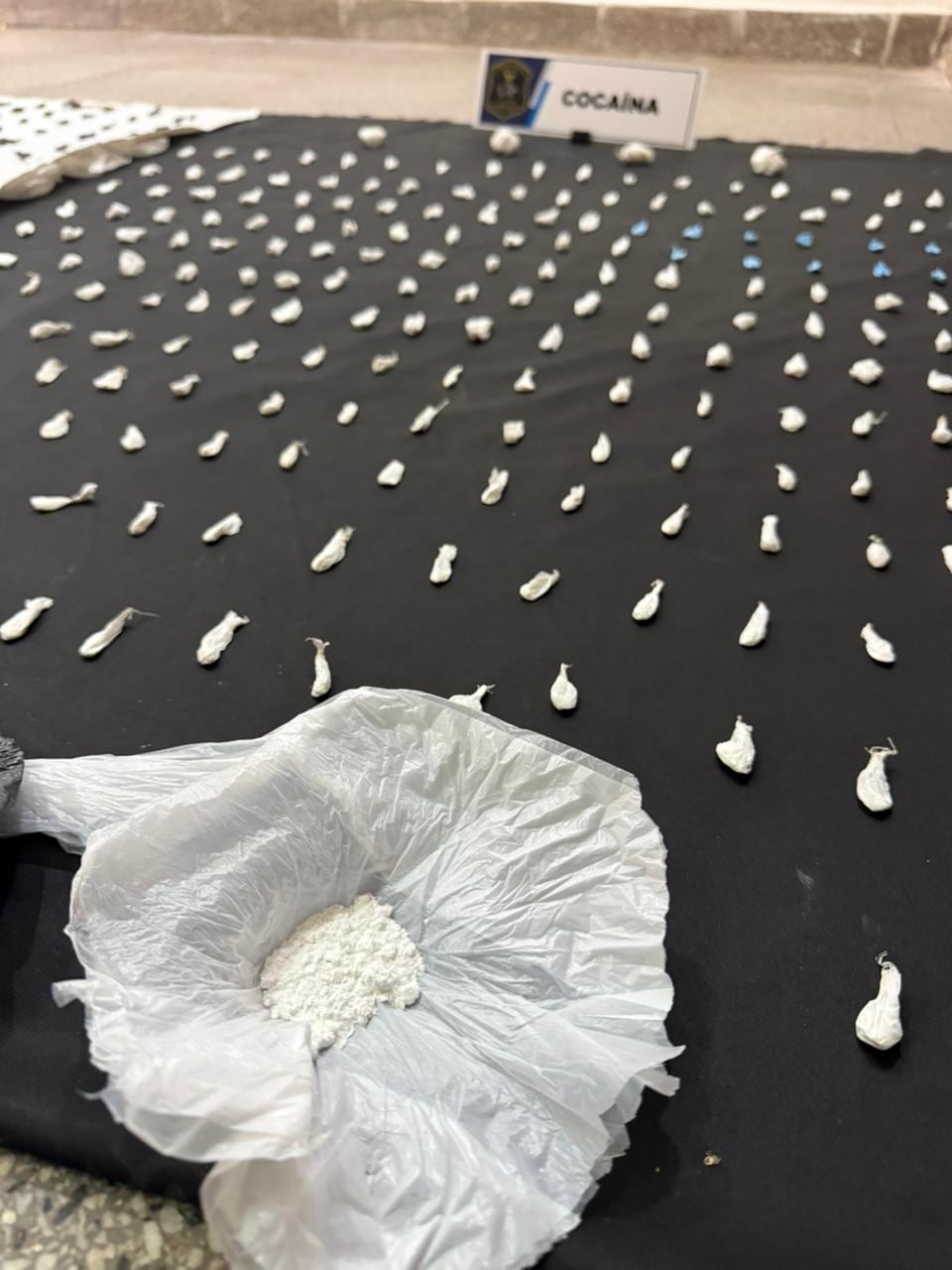 Parte de la droga secuestrada en los procedimientos