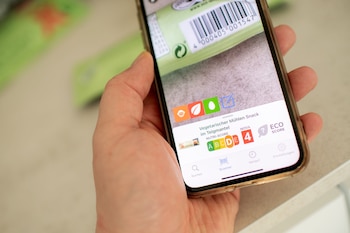 ILUSTRACIÓN - Vegetariano no equivale