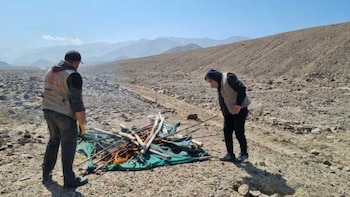 Recuperan áreas invadidas de zonas