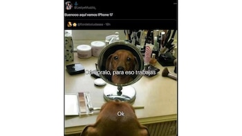 Crédito: LeslyeMuzzio_