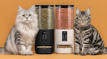 Para llevar a cabo el