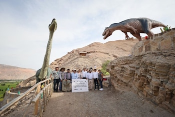 Parque Jurásico de Querulpa en Arequipa muestran más de 60 huellas reales de dinosaurios. (Foto: Andina)