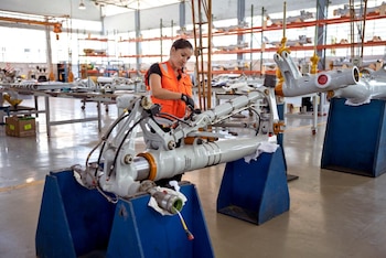 La norma apunta a fortalecer