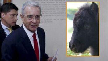 Expresidente Uribe no se rinde