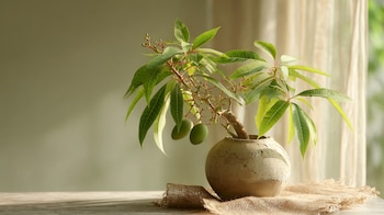 Pocas personas saben que es