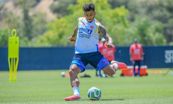 Luis Javier Suárez
