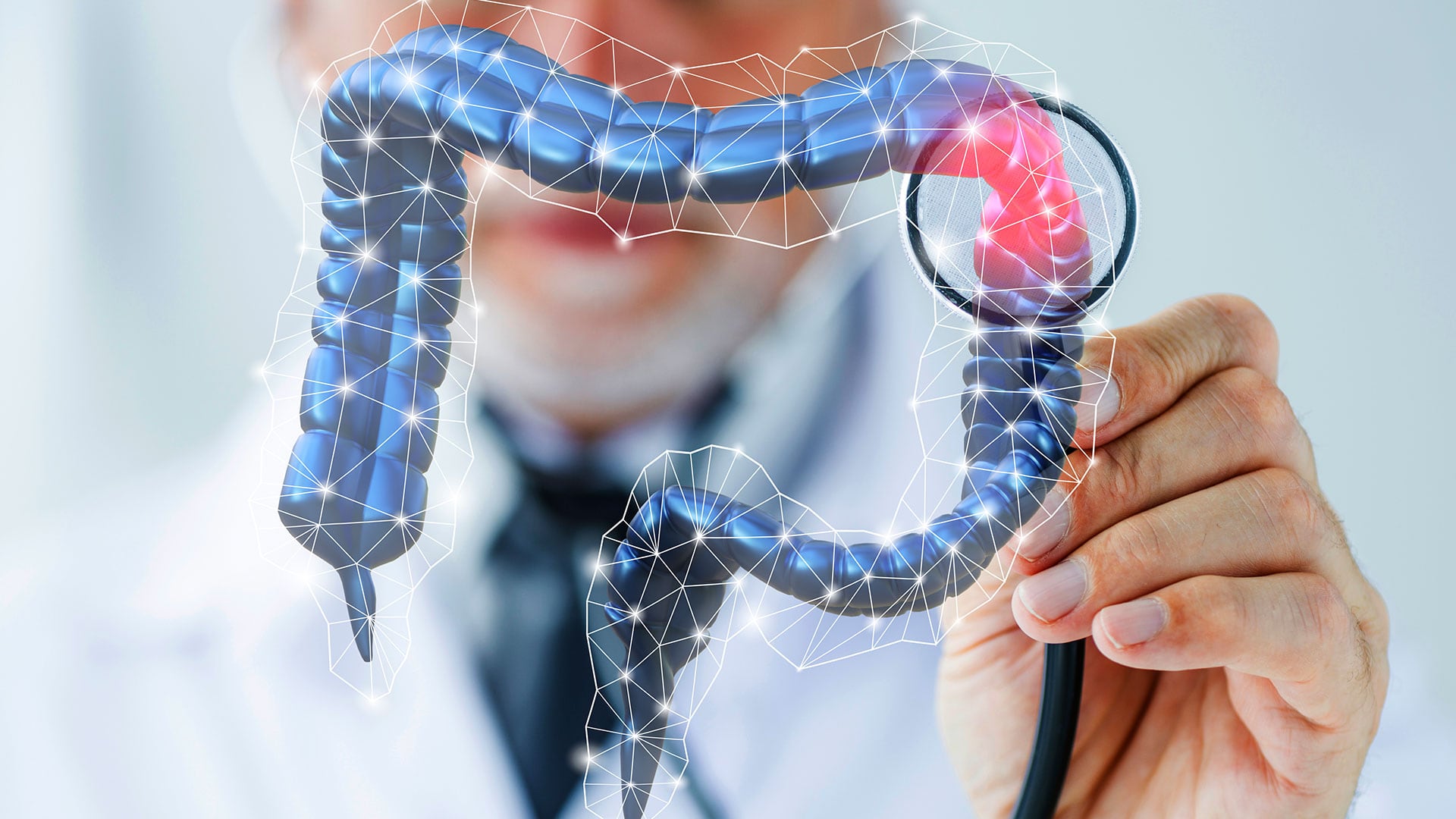 Estudios sugieren que la espinaca podría mejorar la salud intestinal y reducir el riesgo de cáncer de colon por sus compuestos vegetales (Freepik)