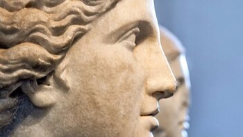 La belleza es una ventaja,