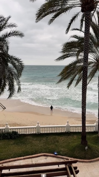 Alexis Mac Allister disfruta de