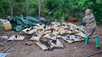 Precursores químicos destruidos en el sitio. Crédito: Gabinete de Seguridad