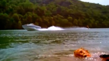 Con un presupuesto de