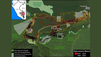 Deforestación por minería se concentra