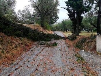 EFE/EPA/SYNETOS KOSTAS