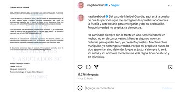Nagibe Abbud compartió un comunicado