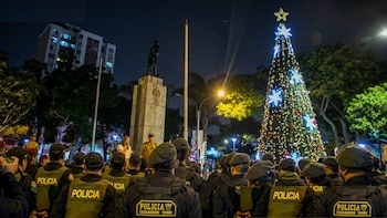 Lince activa el Plan Navidad