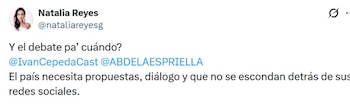 Natalia Reyes se sumó al debate sobre la segunda vuelta presidencial, usando su voz para pedir mayor transparencia y propuestas claras a los candidatos - crédito @nataliareyesg/ Instagram