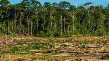 ONG advirtió sobre el aumento
