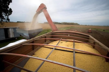 El Gobierno volvió a poner