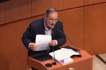 El senador criticó la política