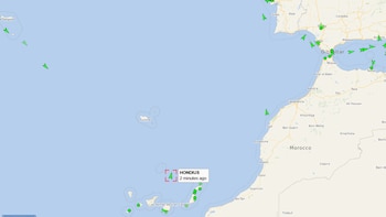 El crucero MV Hondius ya viaja hacia Países Bajos, su destino final. (VesselFinder)