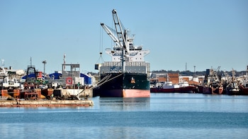 Planificación, formación y coordinación: el