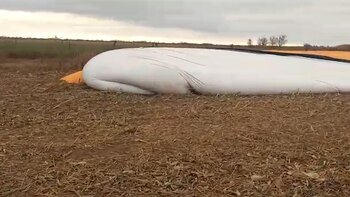 Desconocidos rompieron un silobolsa con