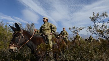 El lema de las tropas