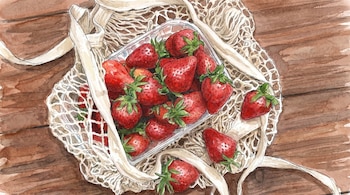 Ilustración en acuarela de un recipiente transparente con fresas rojas frescas y hojas verdes, dentro de una bolsa de malla color crema sobre madera.