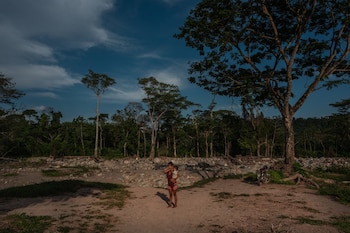 Más de una decena de