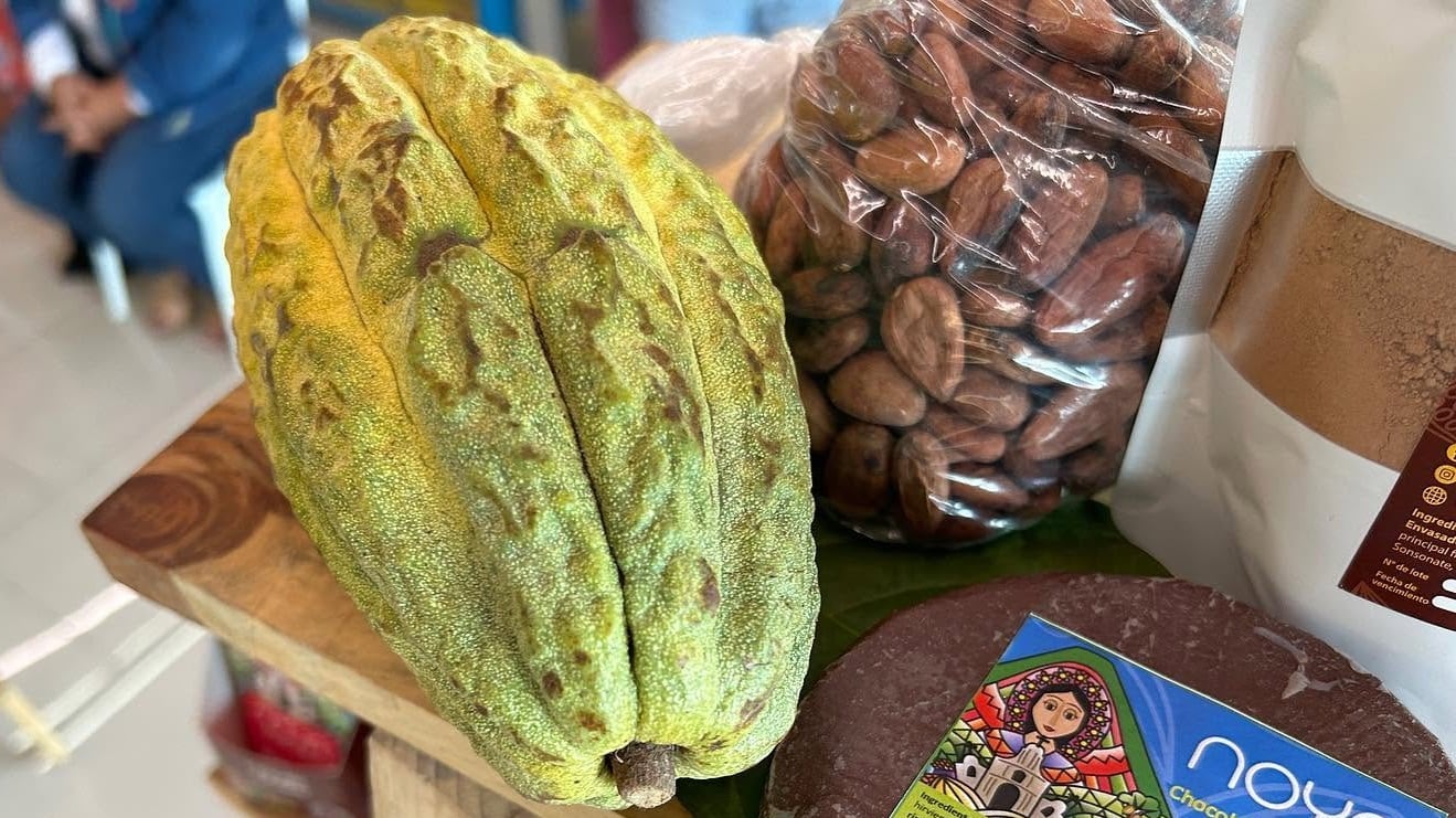 (Foto cortesía: Alianza Cacao El Salvador)