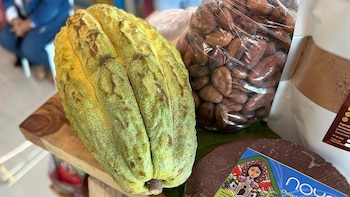 El Salvador importó cuatro veces más cacao del que exportó y acumuló un déficit de USD 21.1 millones