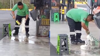 Hace unos días también se