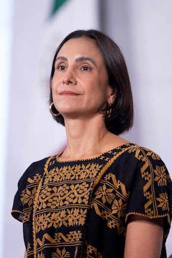 Primer plano de mujer con cabello oscuro y aretes de aro dorados, viste prenda negra con bordados dorados. Fondo blanco desenfocado con detalles verdes