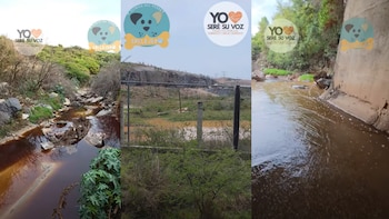 “Estos millones de litros están matando a la gente”, denunció el activista en un video compartido en redes sociales,