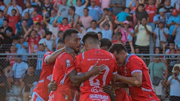 SAFAP denuncia falta de garantías