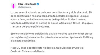 El tuit de Elisa Carrió