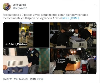 La titular de la Brigada