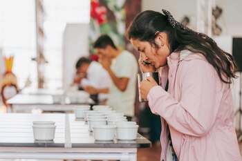 Catadora de cafés especiales durante