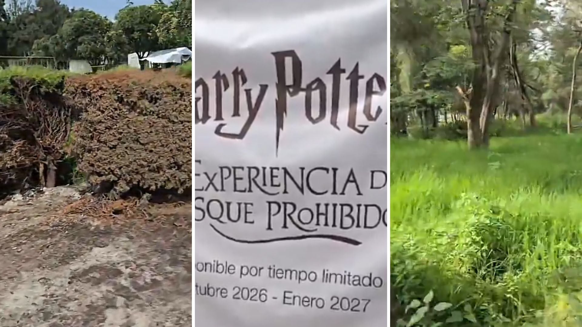 Parque Naucalli enfrenta falta de mantenimiento mientras revisan proyecto de Harry Potter