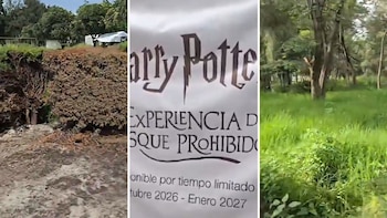 Parque Naucalli enfrenta falta de mantenimiento mientras revisan proyecto de Harry Potter